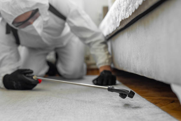 Professional Ant Control technician working in West Perrine, FL