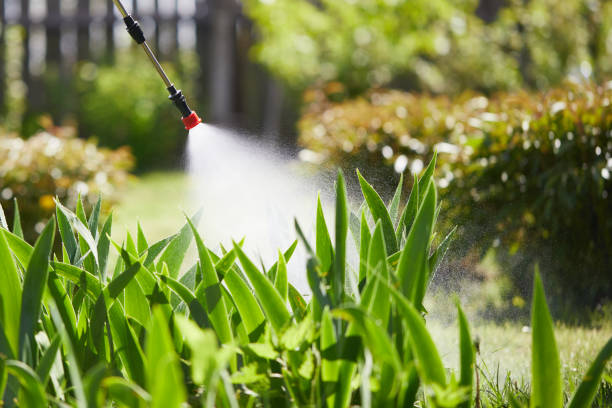 24/7 Emergency Ant Control experts in West Perrine, FL